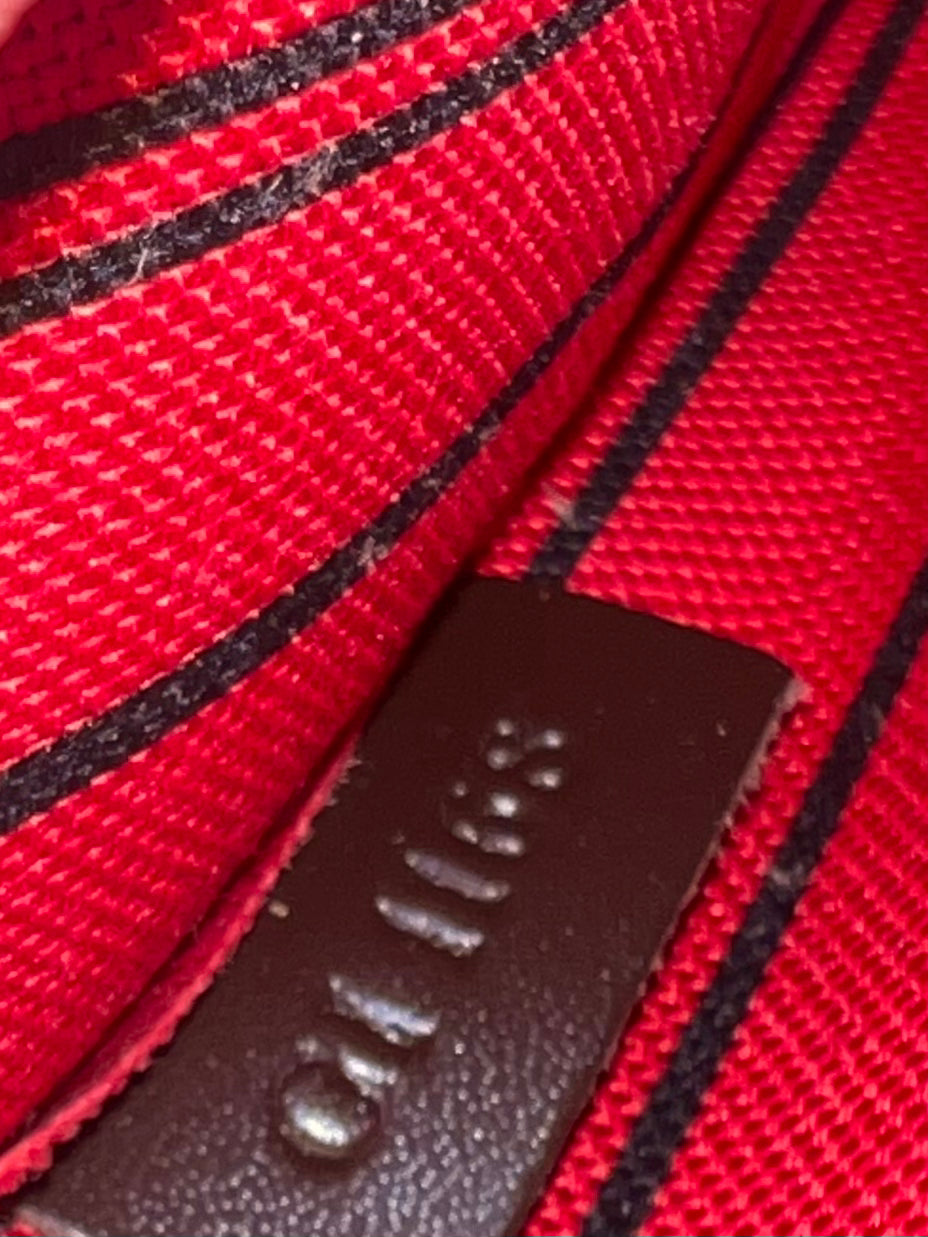 Wristlet Damier Ebene