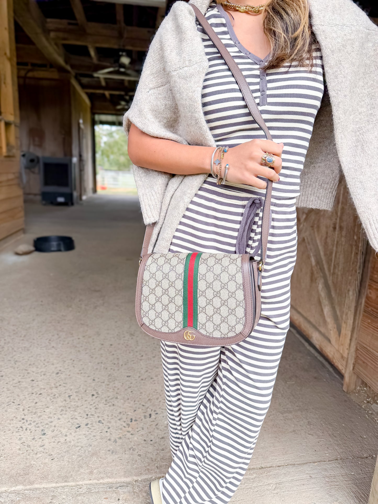 Gucci Ophidia Flap Bag