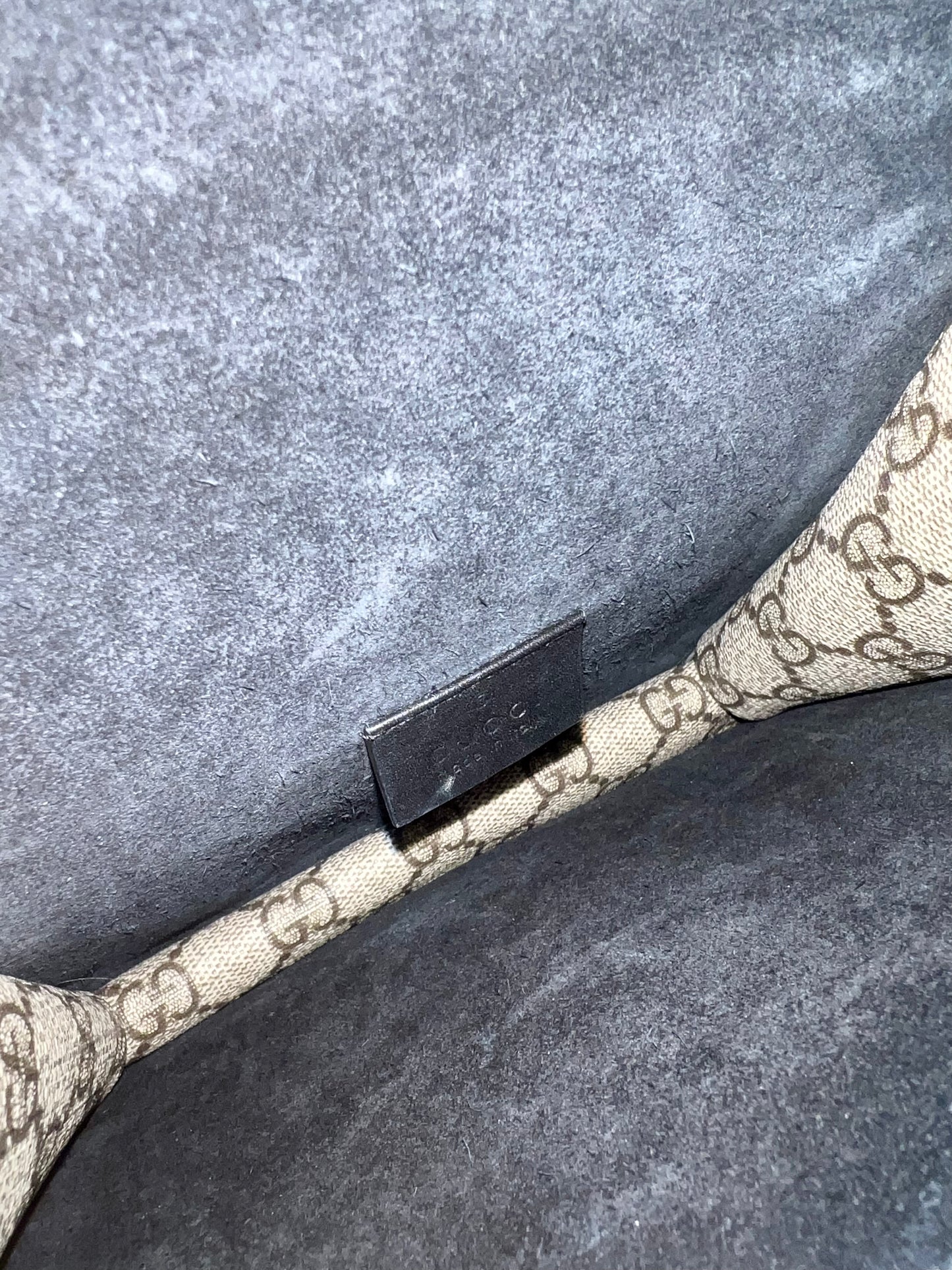 Gucci Dionysus Mini