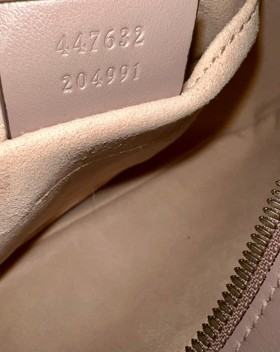 Gucci Camera Bag Nude Small