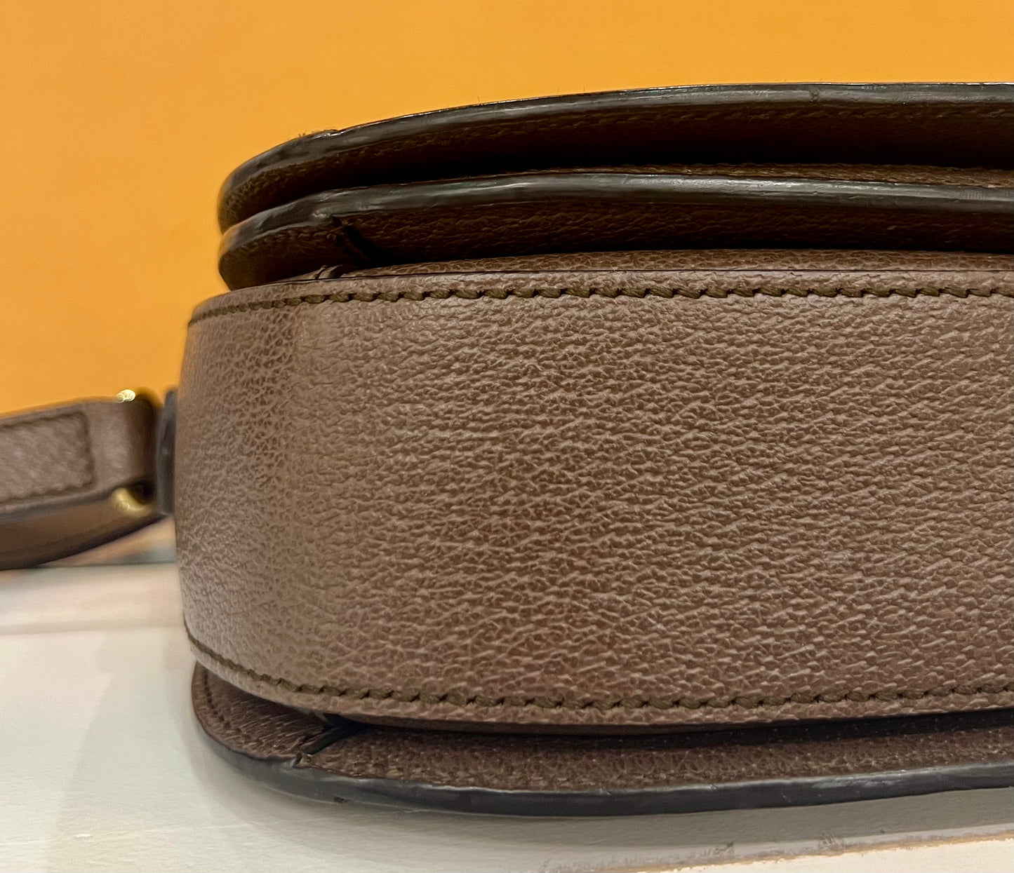 Gucci Ophidia Flap Bag