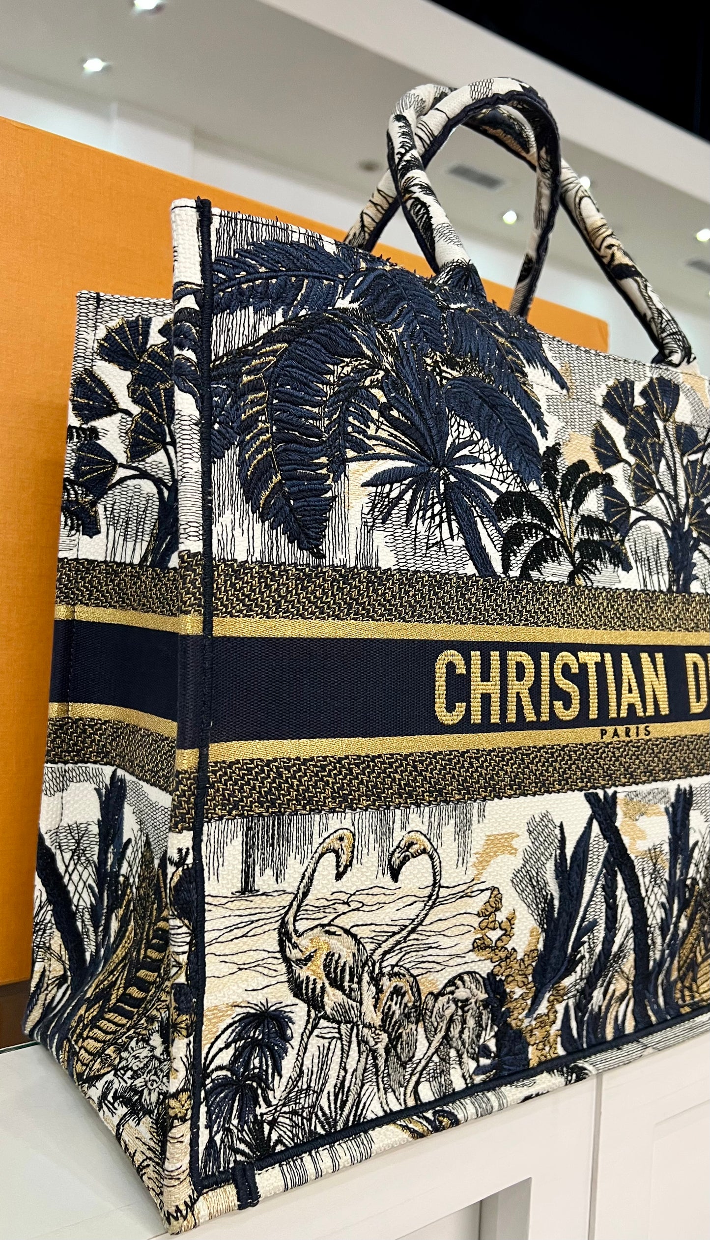 Dior Large Book Tote