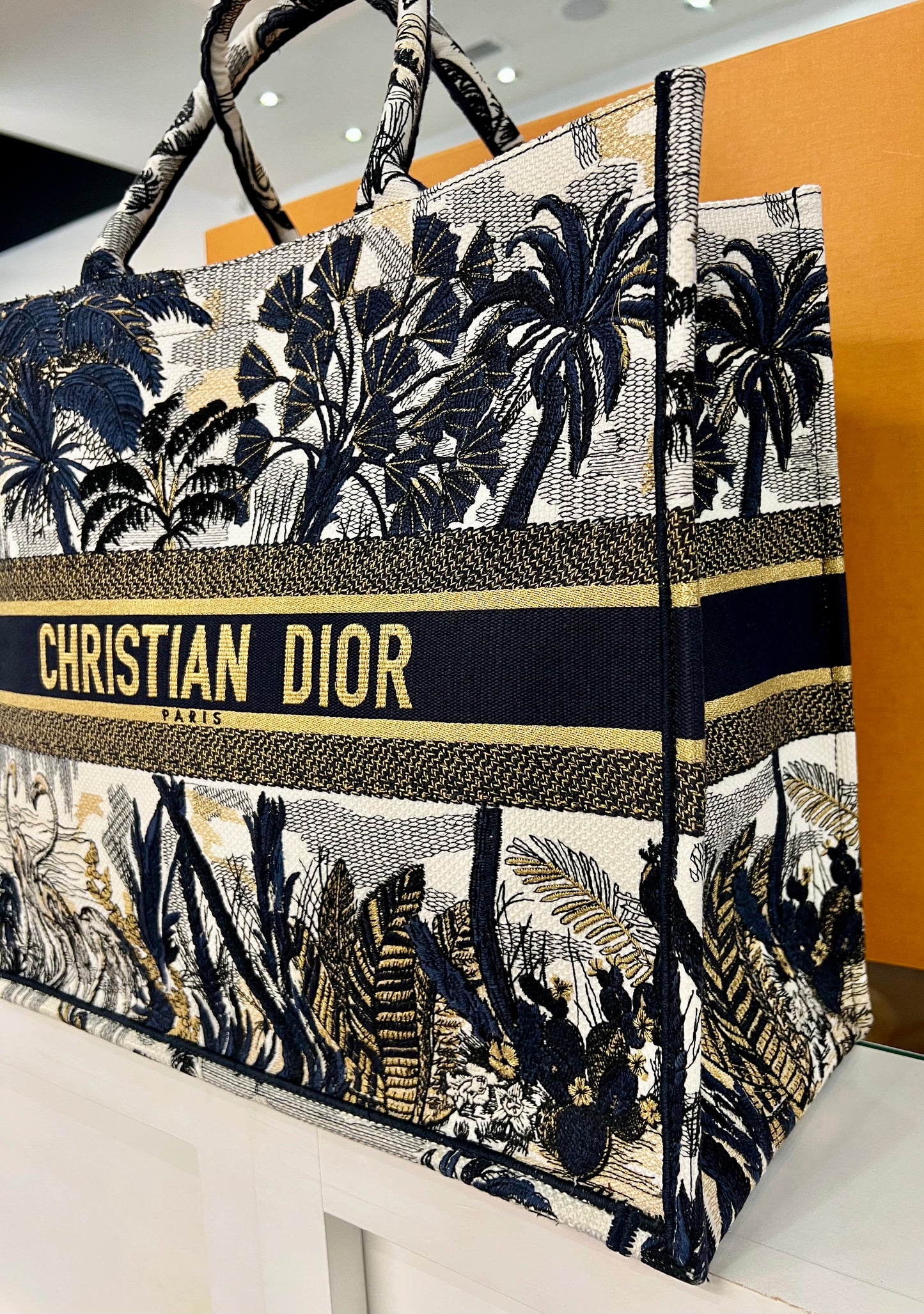 Dior Large Book Tote