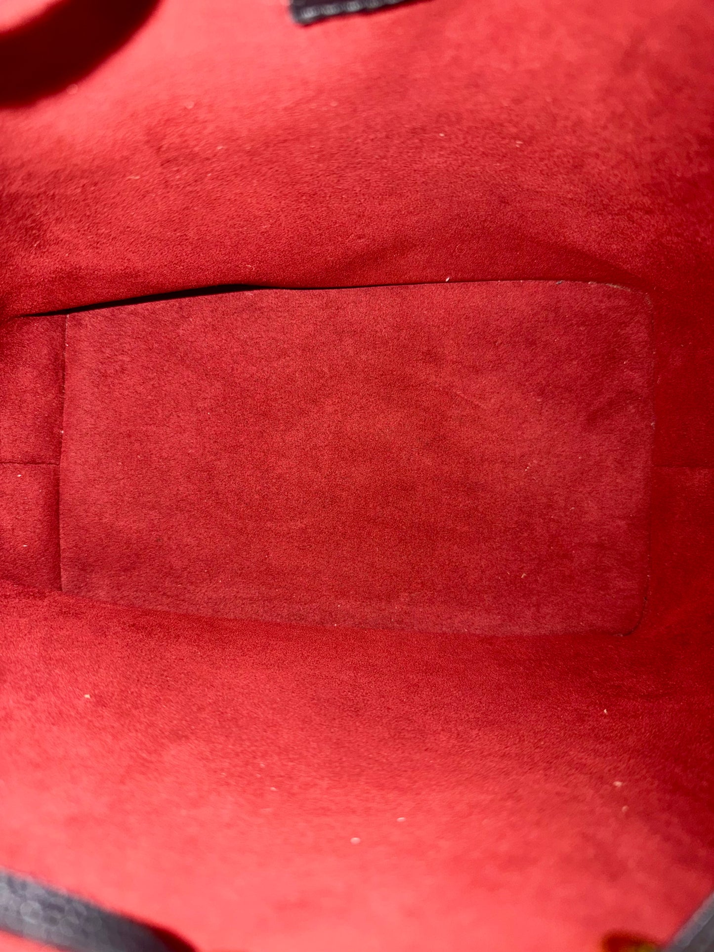 Néo Noé Bi-color