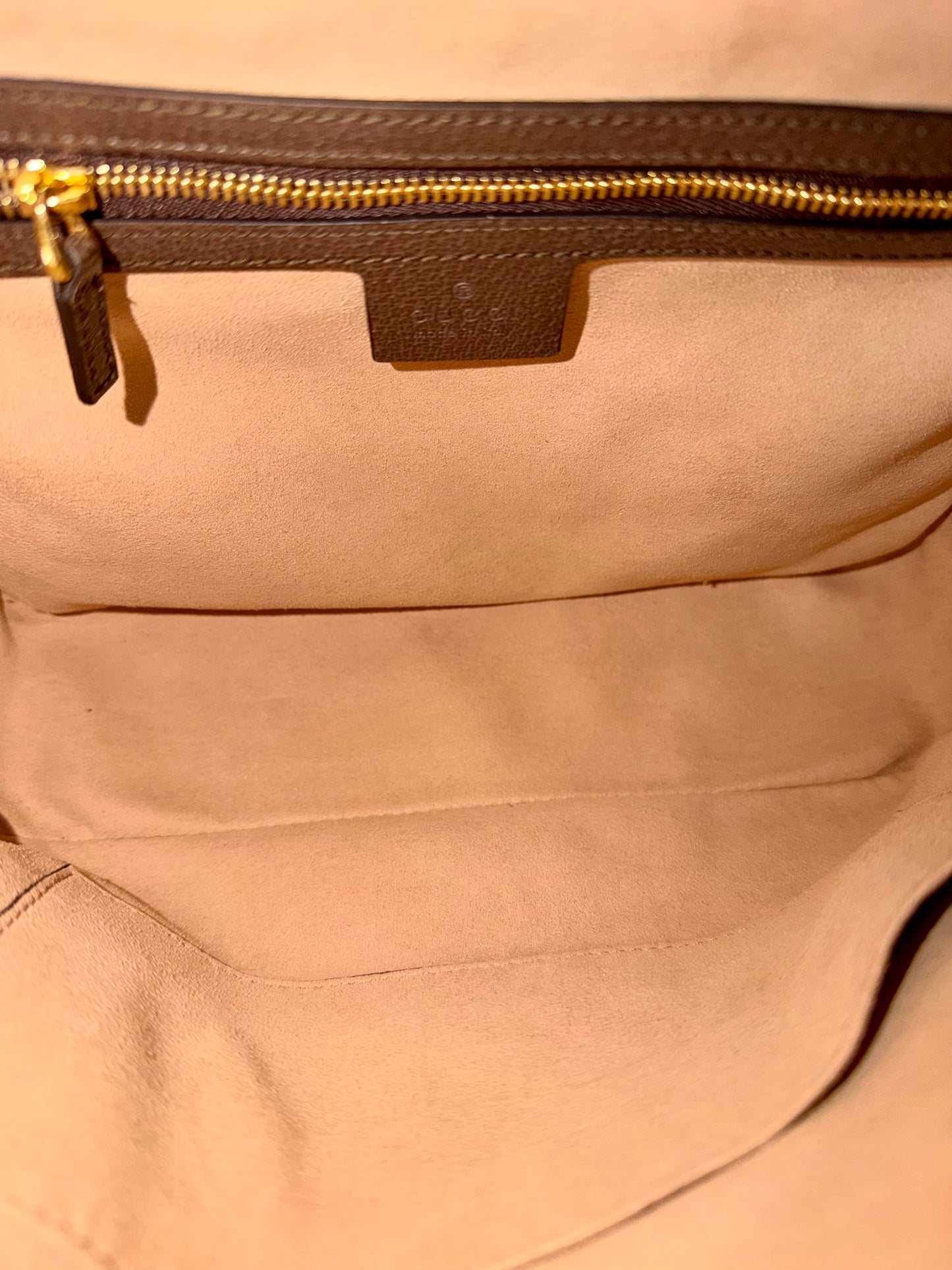 Gucci Ophidia Crossbody