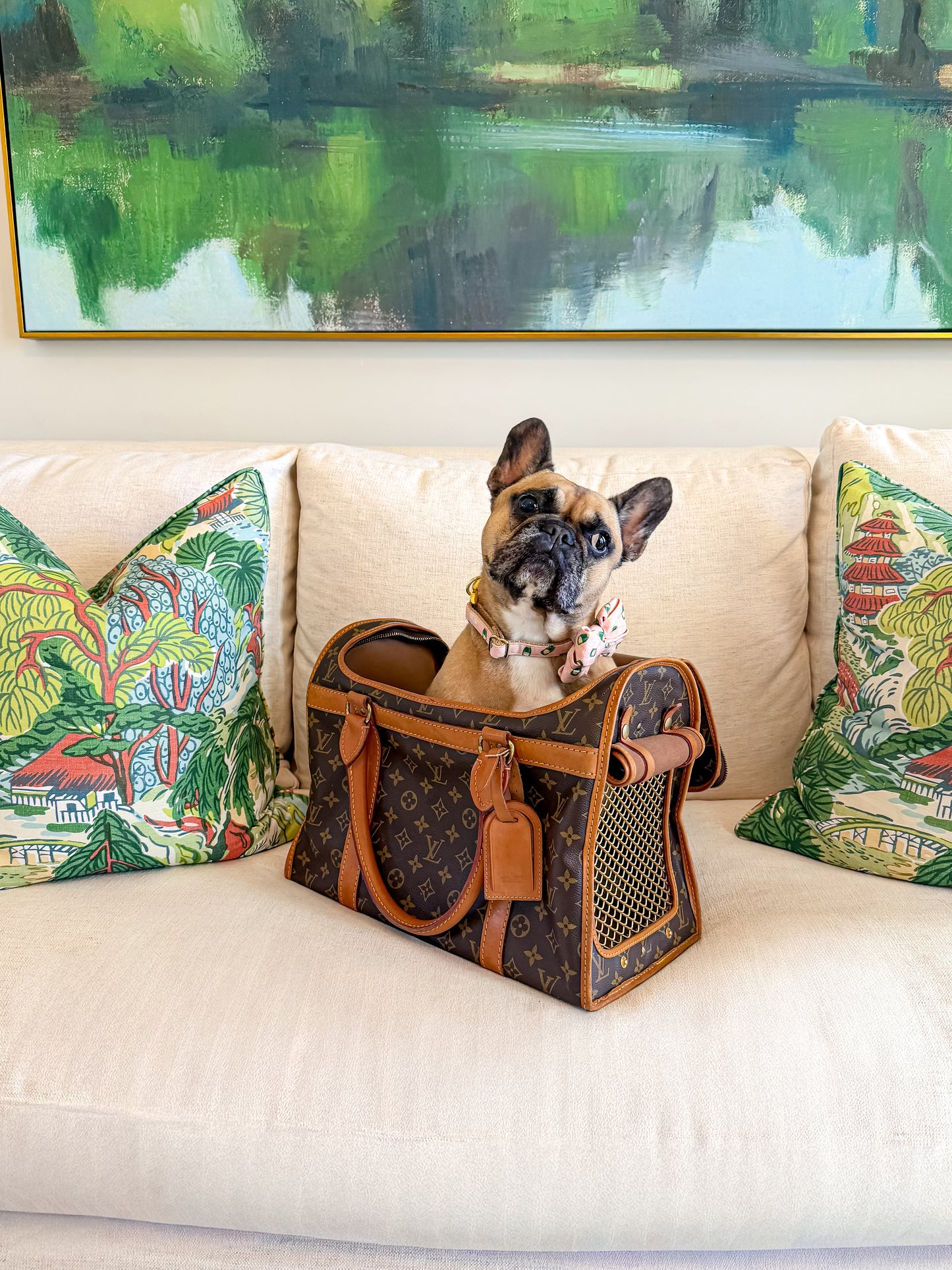 Sac Chein 40 Pet Carrier