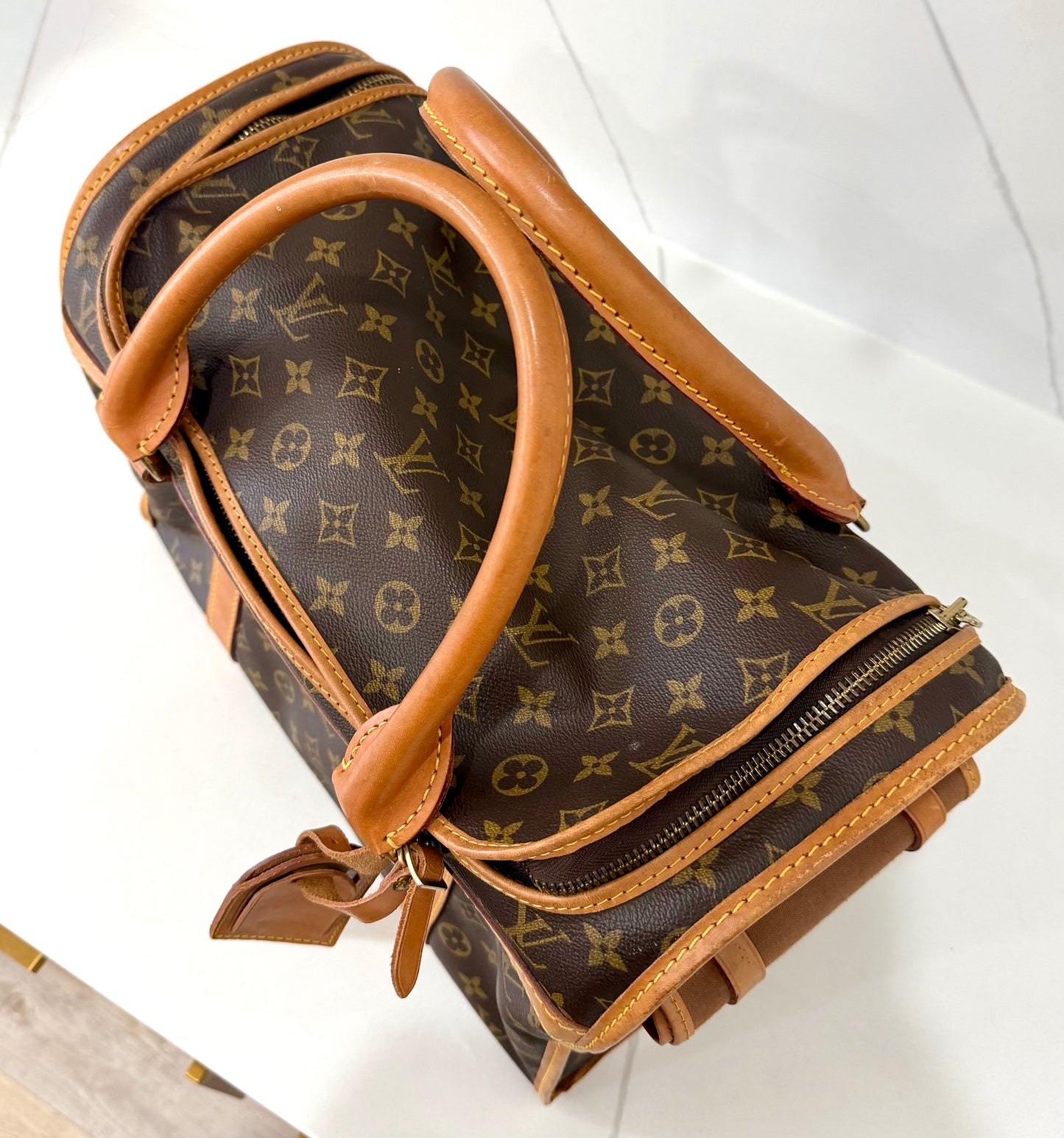 Sac Chein 40 Pet Carrier