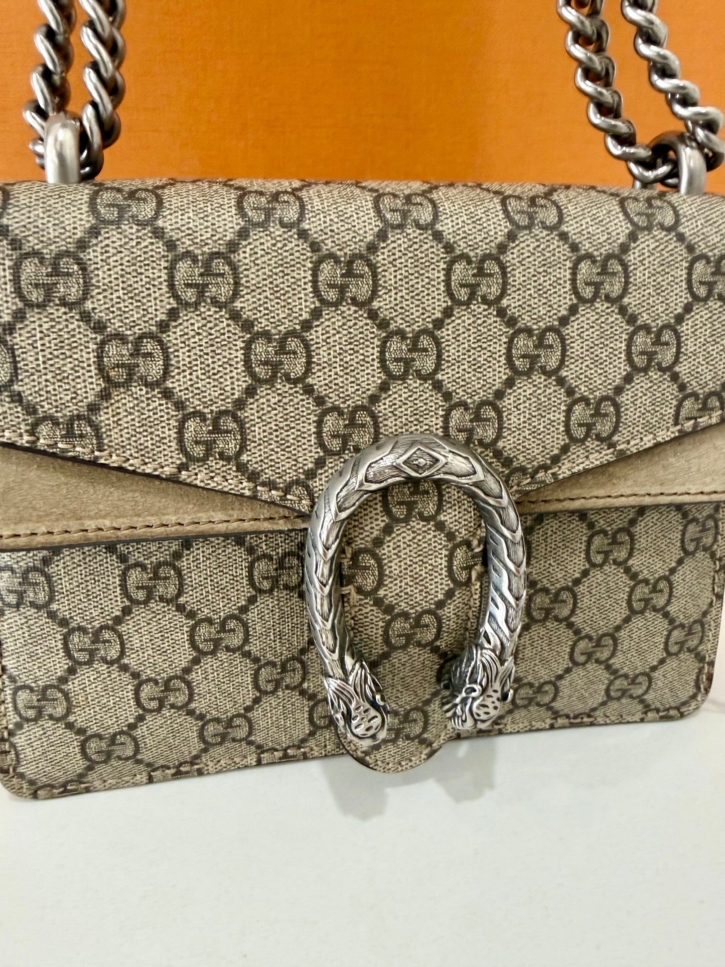 Gucci Dionysus Mini