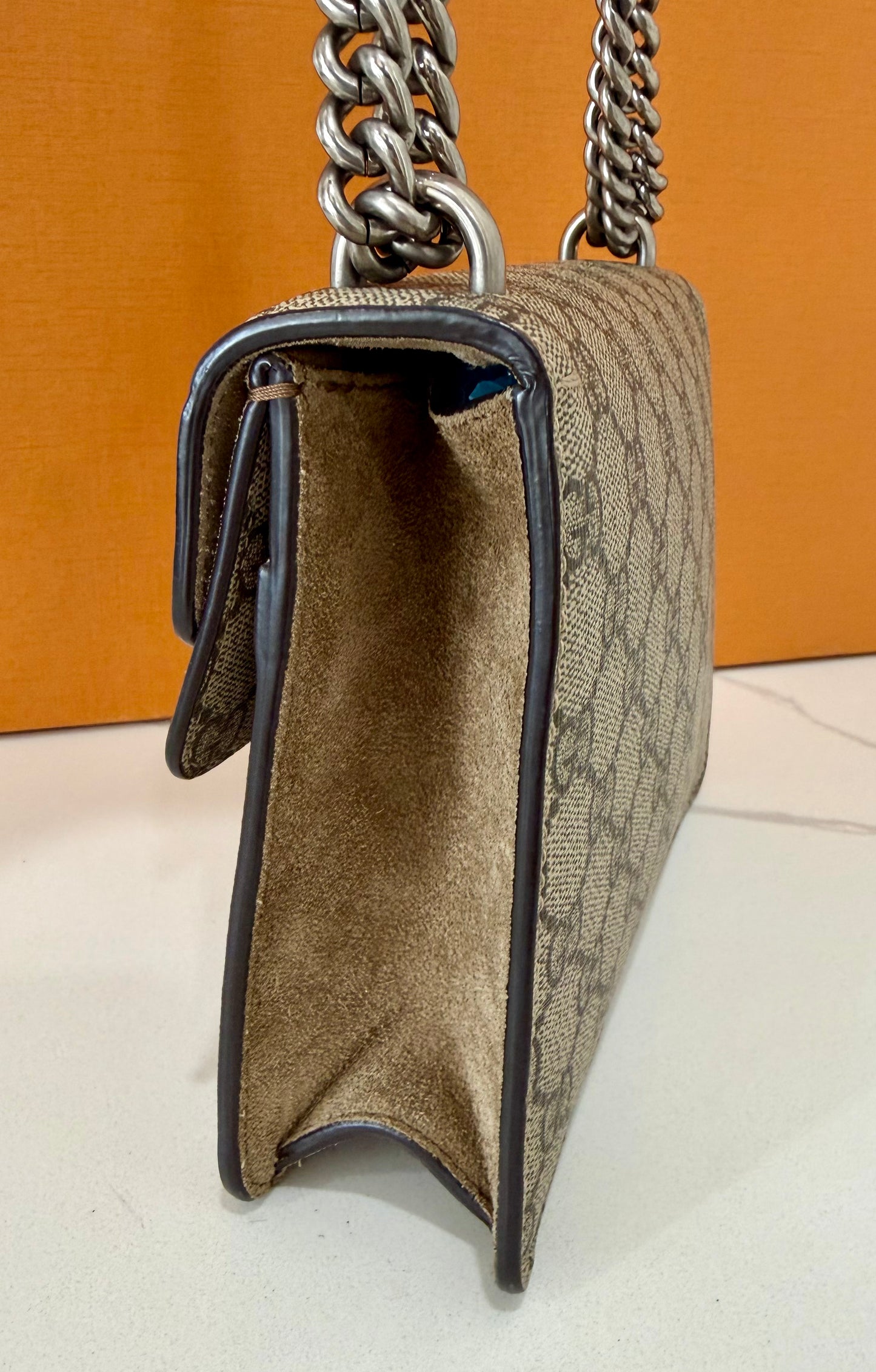 Gucci Dionysus Mini